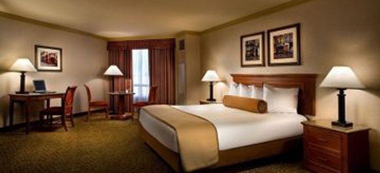 Hotel Harrah's Las Vegas:  LAS VEGAS (NV)