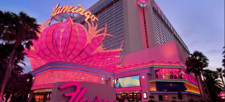 Hotel Flamingo Las Vegas:  LAS VEGAS (NV)