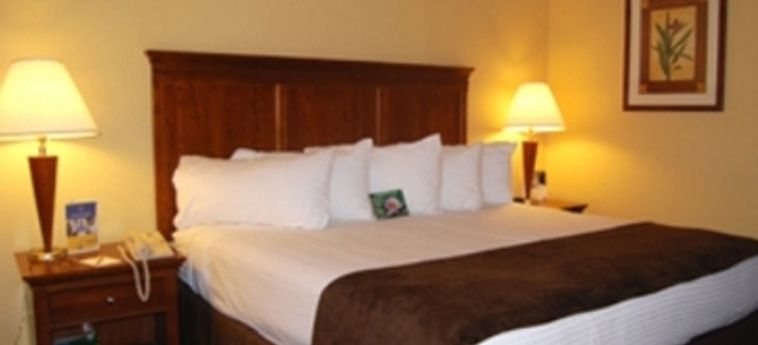 Hotel Best Western Mccarran Inn:  LAS VEGAS (NV)