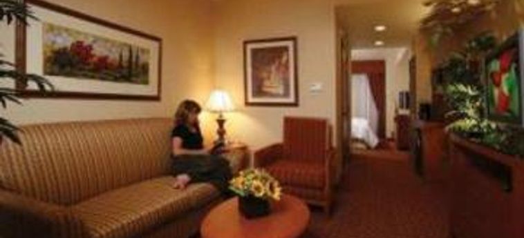 Hotel Hilton Garden Inn Las Vegas-Henderson:  LAS VEGAS (NV)