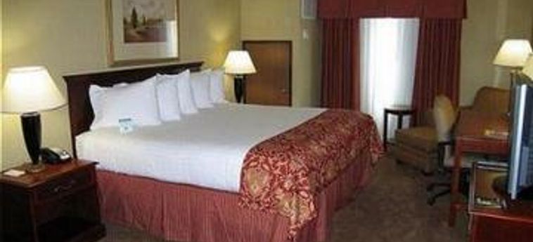 Hotel Holiday Inn Henderson E Las Vegas:  LAS VEGAS (NV)