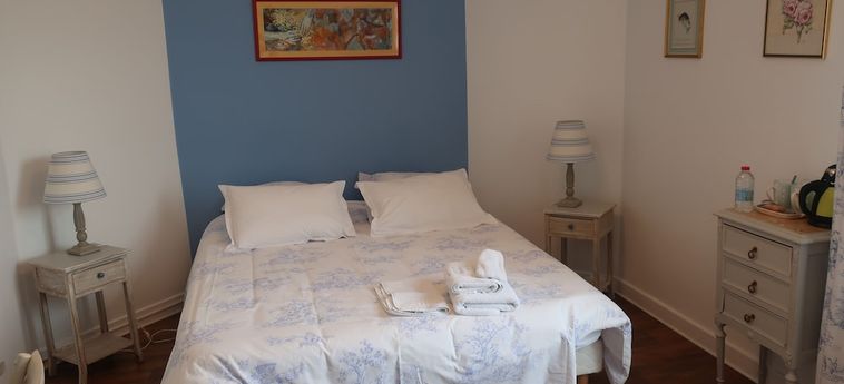 Hotel Au Jardin De L'éventail Le Mans: Foto 