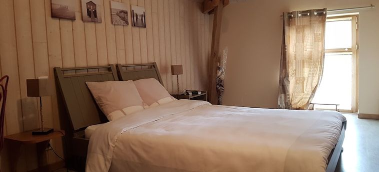 Hotel Relais Des Caillères Le Mans: Foto 