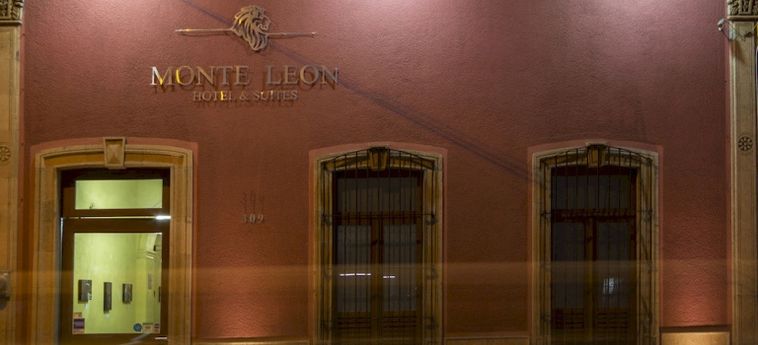 Hotel Monte Leon:  LEON