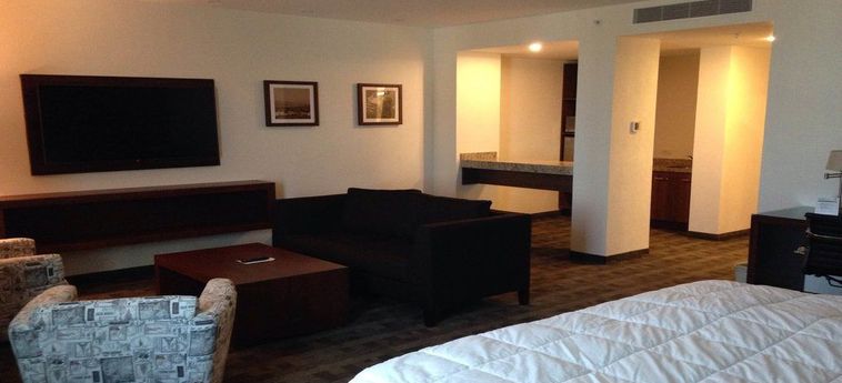 Hotel Holiday Inn & Suites Leon Plaza Mayor:  LEON