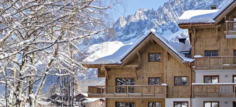 MODERN FURNISHED APARTMENT AT THE FOOT OF THE MONT BLANC 3 Stelle