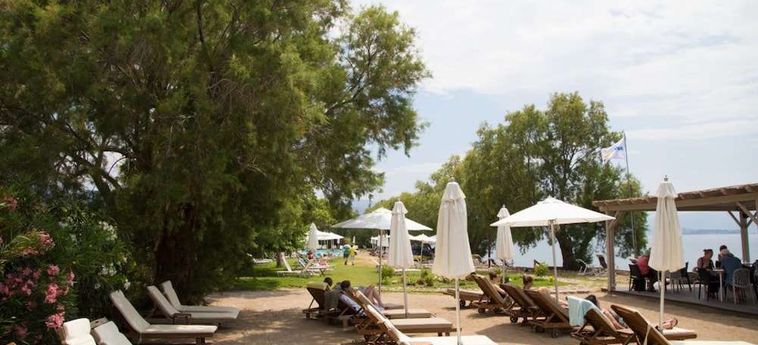 Hotel Olive Press Lesbos: Foto 