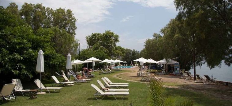 Hotel Olive Press Lesbos: Foto 