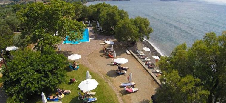 Hotel Olive Press Lesbos: Foto 