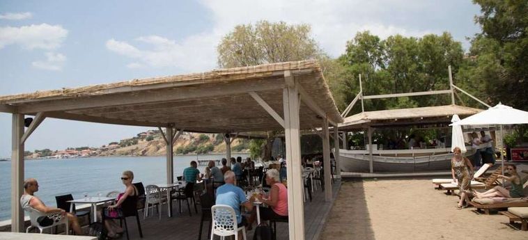 Hotel Olive Press Lesbos: Foto 