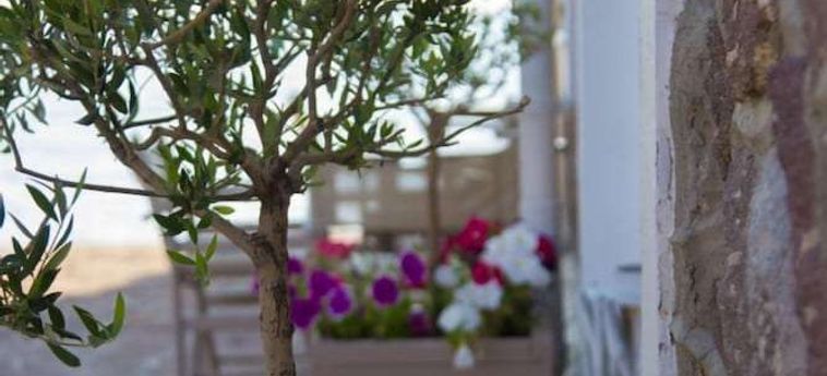 Hotel Olive Press Lesbos: Foto 