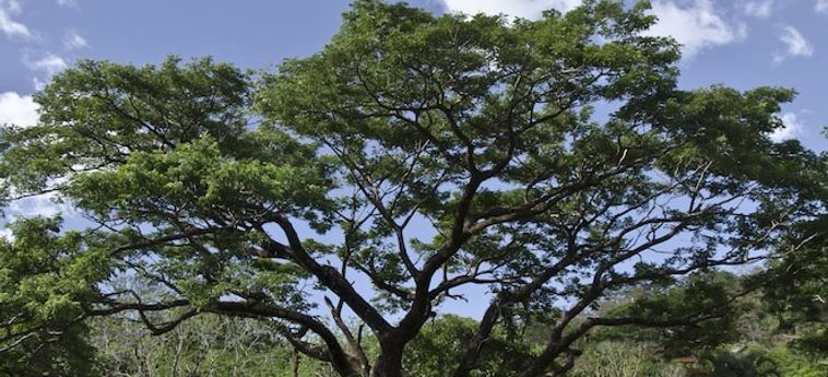 Hotel Borinquen Mountain Resort And Spa Liberia - Guanacaste: Foto 