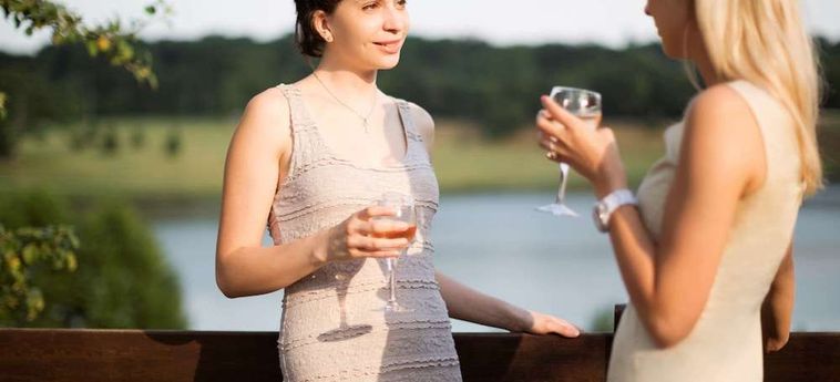 Hotel Novotel Limoges Le Lac Limoges: Photo 