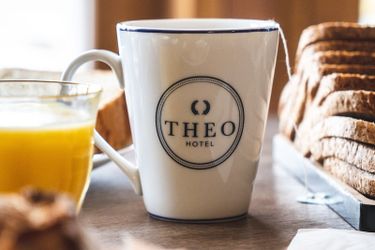 Hotel The Originals City Hôtel Theo Limoges Limoges: Photo 