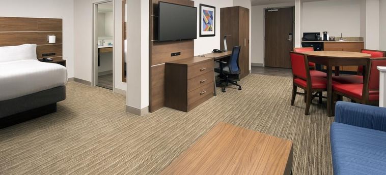 Hotel Holiday Inn Express & Suites Baltimore - Bwi Airport North:  LINTHICUM (MD)