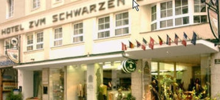 Hôtel ZUM SCHWARZEN BAEREN
