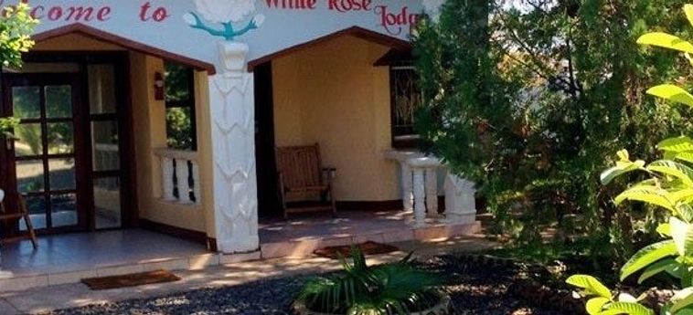 Hotel White Rose Lodge Livingstone: Foto 