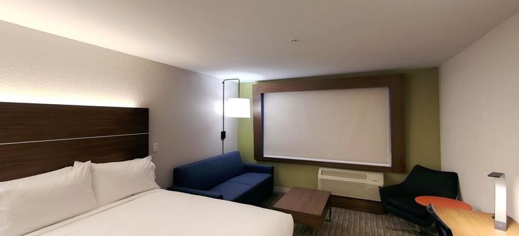 Hotel Holiday Inn Express & Suites Detroit Northwest – Livonia:  LIVONIA (MI)