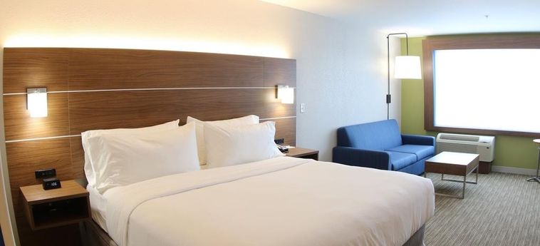 Hotel Holiday Inn Express & Suites Detroit Northwest – Livonia:  LIVONIA (MI)