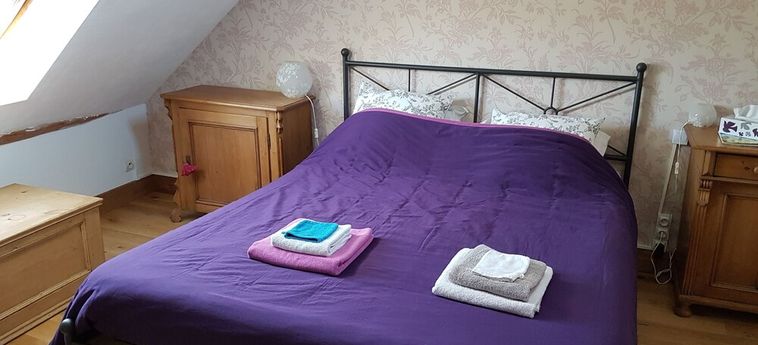 Hotel Le Moulin St-Jean Loches: Foto 