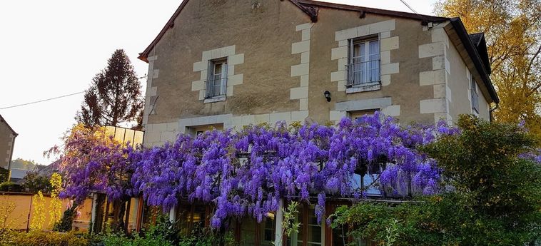 Hotel Le Moulin St-Jean Loches: Foto 