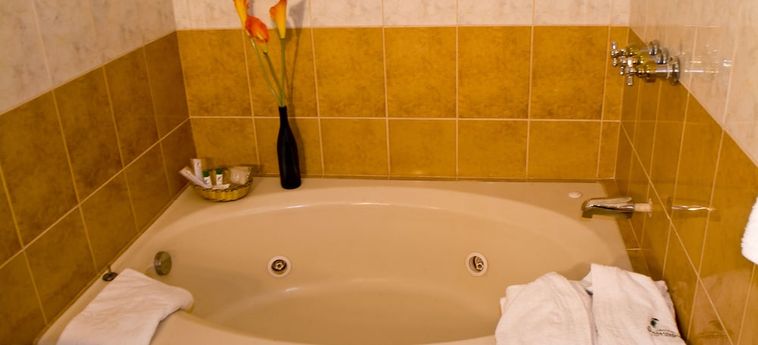 Hotel Podocarpus Loja: Photo 