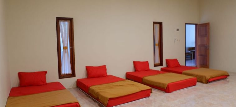 Besopok Hostel Lombok: Foto 