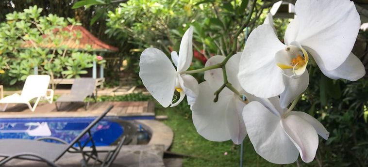 Hotel White Orchid Eco Resort Lombok : Photo 