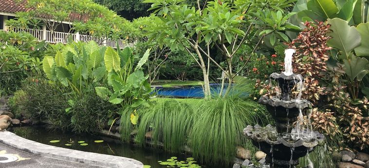 Hotel White Orchid Eco Resort Lombok: Foto 