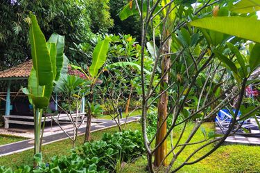 Hotel White Orchid Eco Resort Lombok: Photo 