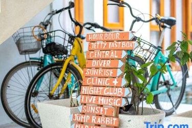 Yulaman Hotel Lombok: Photo 