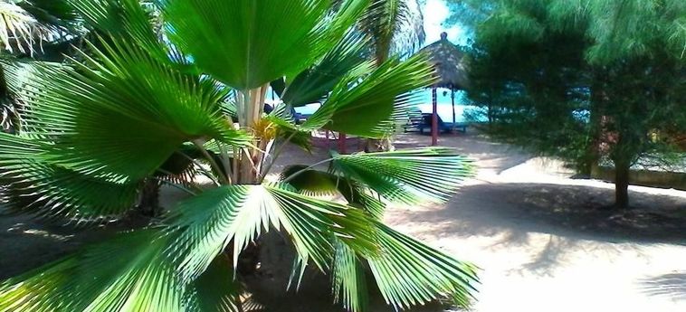 Hotel Robinson Plage Lomé: Foto 
