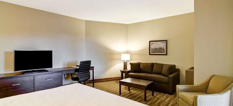 Hotel Best Western London Airport Inn &Amp; Suites London: Photo 