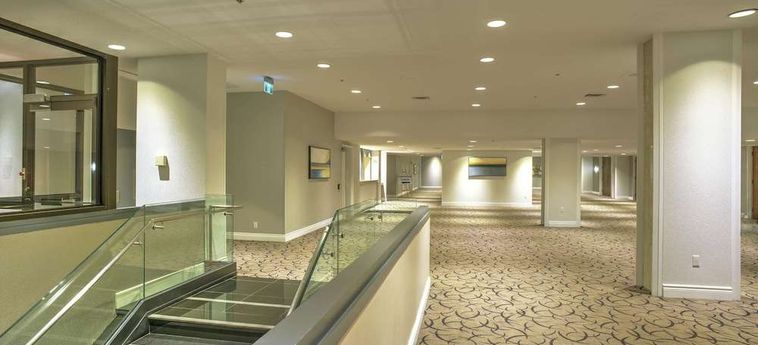 Doubletree By Hilton Hotel London Ontario:  LONDON