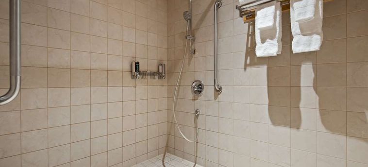 Hotel Best Western Plus Lamplighter Inn &Amp; Conference Centre London: Photo 