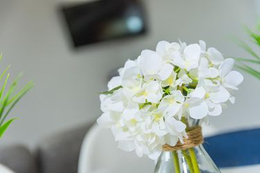 Off The Square Apartments Londonderry: Photo 
