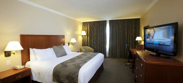 Hotel Best Western Plus Lamplighter Inn &Amp; Conference Centre Londres : Photo 