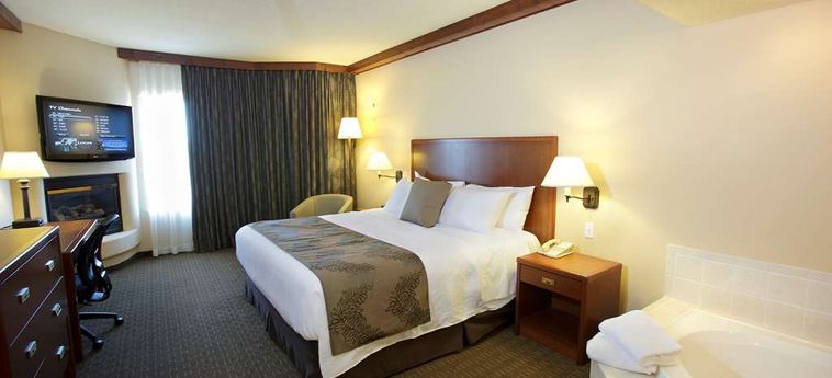 Hotel Best Western Plus Lamplighter Inn &Amp; Conference Centre Londres : Photo 