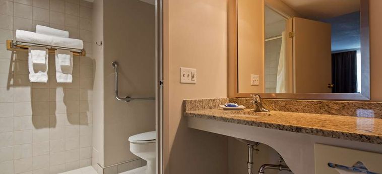 Hotel Best Western Plus Lamplighter Inn &Amp; Conference Centre Londres : Photo 