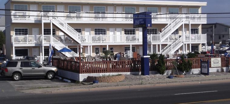 Hotel Sea Horse Motel:  LONG BEACH ISLAND (NJ)