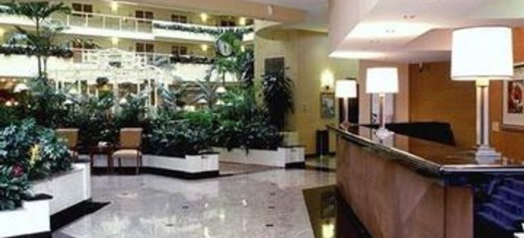 Hotel Embassy Suites Los Angeles - International Airport-North:  LOS ANGELES (CA)