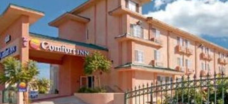 Hotel Comfort Inn:  LOS ANGELES (CA)