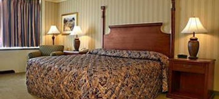 Galt House Hotel & Suites:  LOUISVILLE (KY)