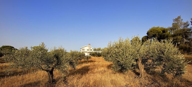 Hotel Tramonto Di Olive Gorgeous Villa By Villarentalsgr Loutraki : Photo 