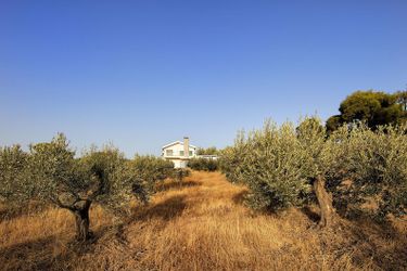 Hotel Tramonto Di Olive Gorgeous Villa By Villarentalsgr Loutraki: Photo 