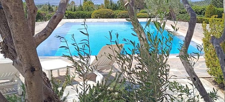 Hotel Turquoise Villa Loutraki Loutraki : Photo 