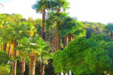 Albergo Gardenia Lugano: Photo 