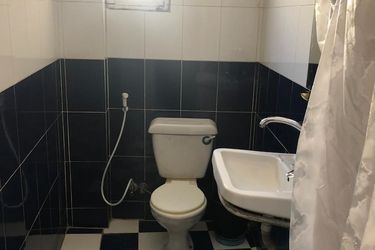 Venus Hostel Luxor: Photo 