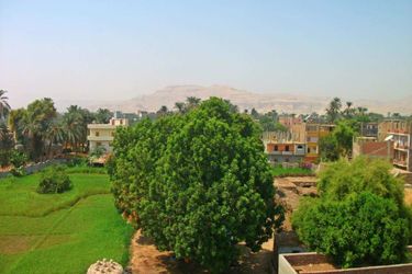 Farida Apartments Luxor: Photo 