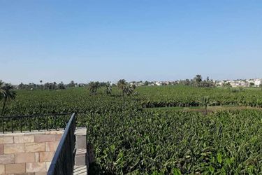 Hotel Nile Panorama Luxor: Photo 